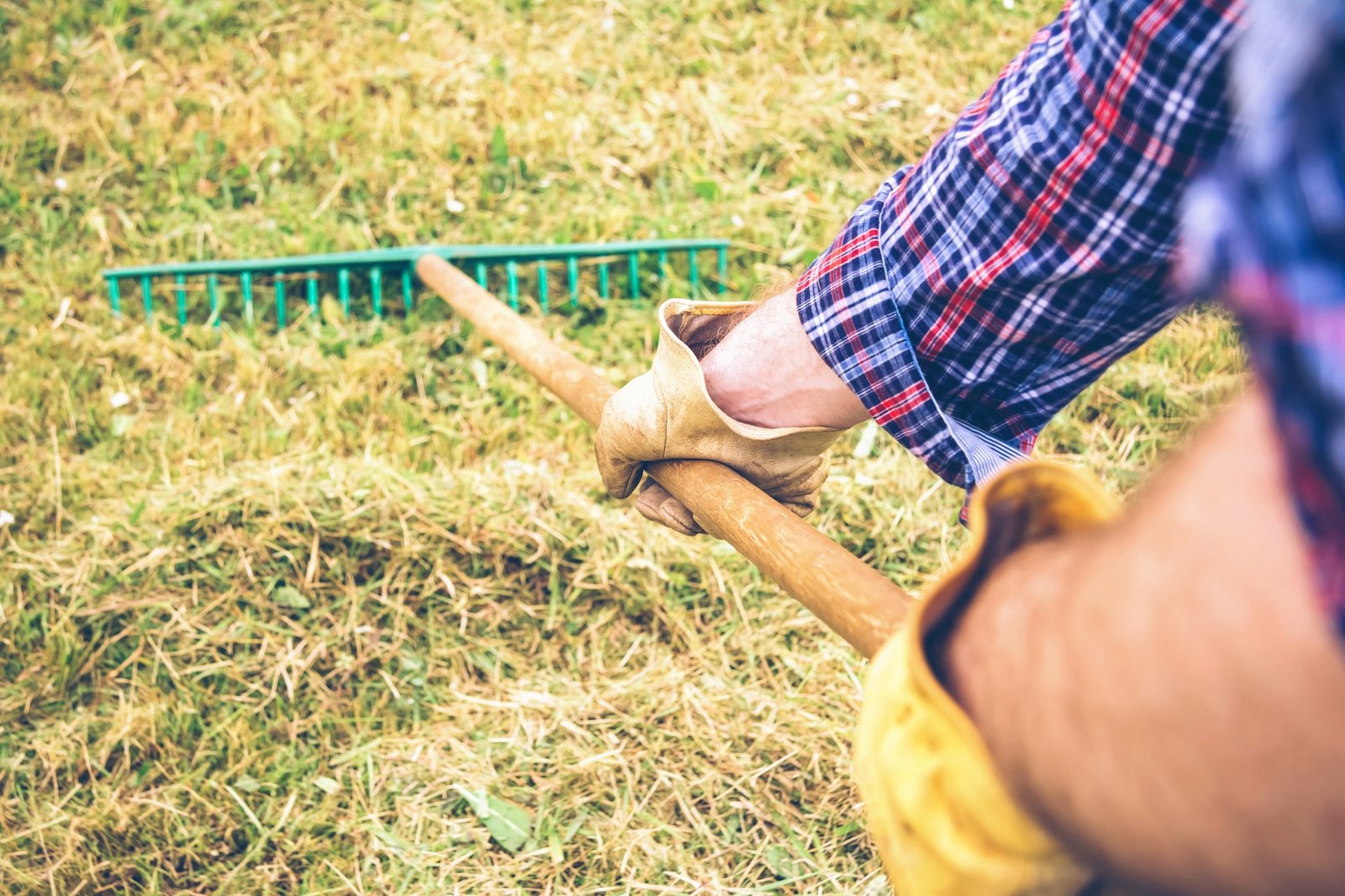 Man arms raking hay with pitchfork on field